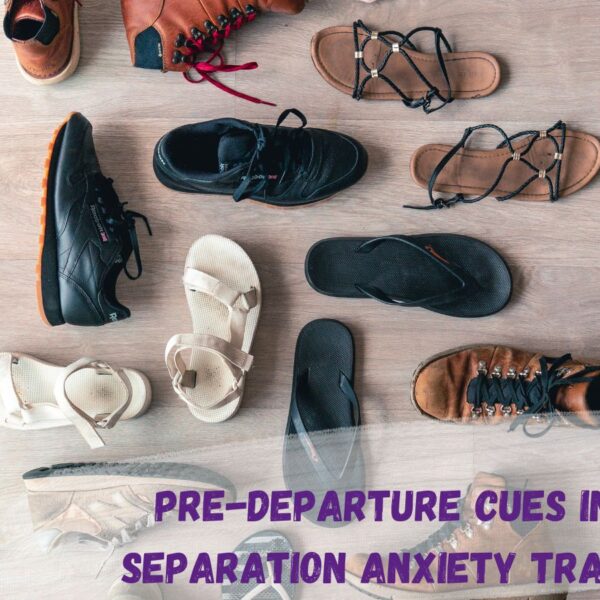 Predeparture cues in dog separation anxiety training text over a photo of an assortment of different shoes