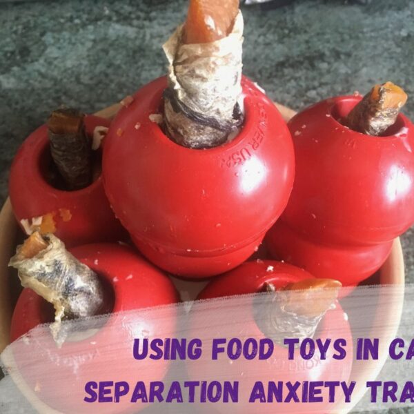 Text reads using food toys in canine separation training over a photo of a bowl of filled dog enrichment