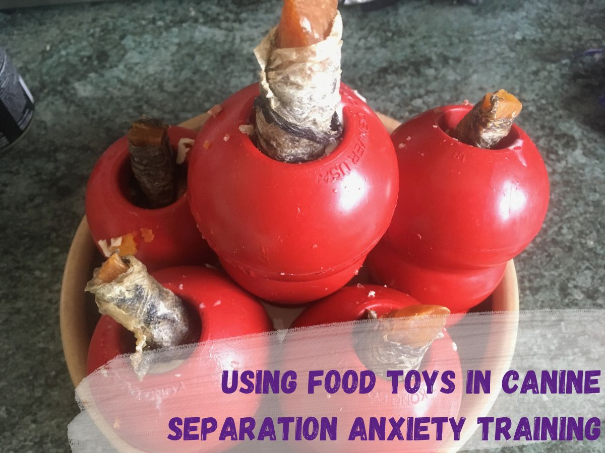 Text reads using food toys in canine separation training over a photo of a bowl of filled dog enrichment