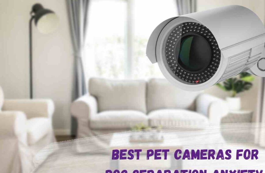 Best Cameras for Dog Separation Anxiety purple text over image of a home CCTV camera in a white and cream coloured lounge