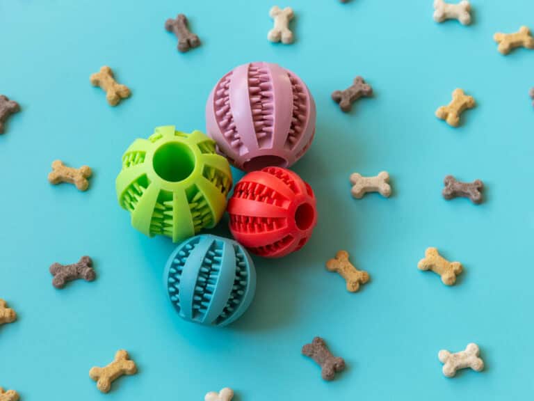 dog training gear post dog dental ball toys on blue background