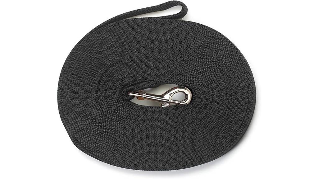 black nylon dog lead