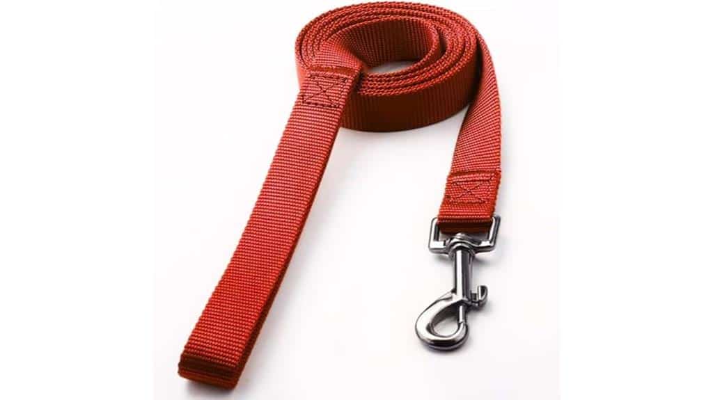 extra long dog lead